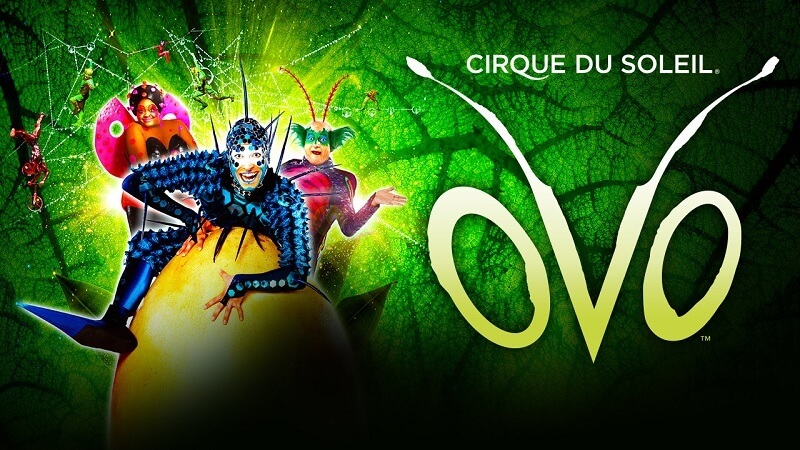 Cirque Du Soleil Ovo Tickets
