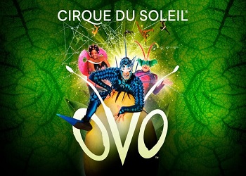 Cirque Du Soleil Ovo