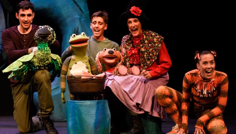 Room On The Broom Musical Tickets