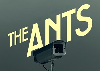 The Ants Musical Tickets